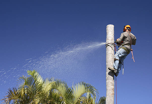 Soil Testing and Treatment in Mount Hope, NJ