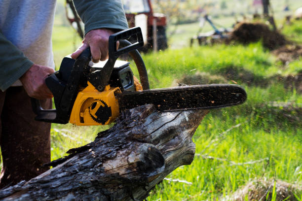 Best Tree Preservation Services  in Mount Hope, NJ